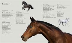 The Horse: A natural history