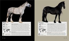 The Horse: A natural history