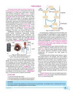 Biologie. Manual clasa a IX-a