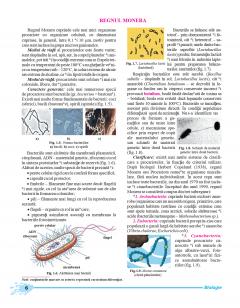 Biologie. Manual clasa a IX-a