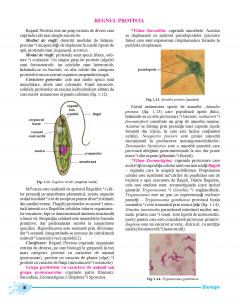 Biologie. Manual clasa a IX-a