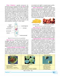 Biologie. Manual clasa a IX-a