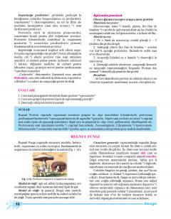 Biologie. Manual clasa a IX-a
