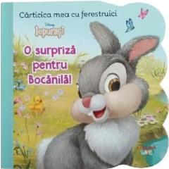 O surpriza pentru Bocanila