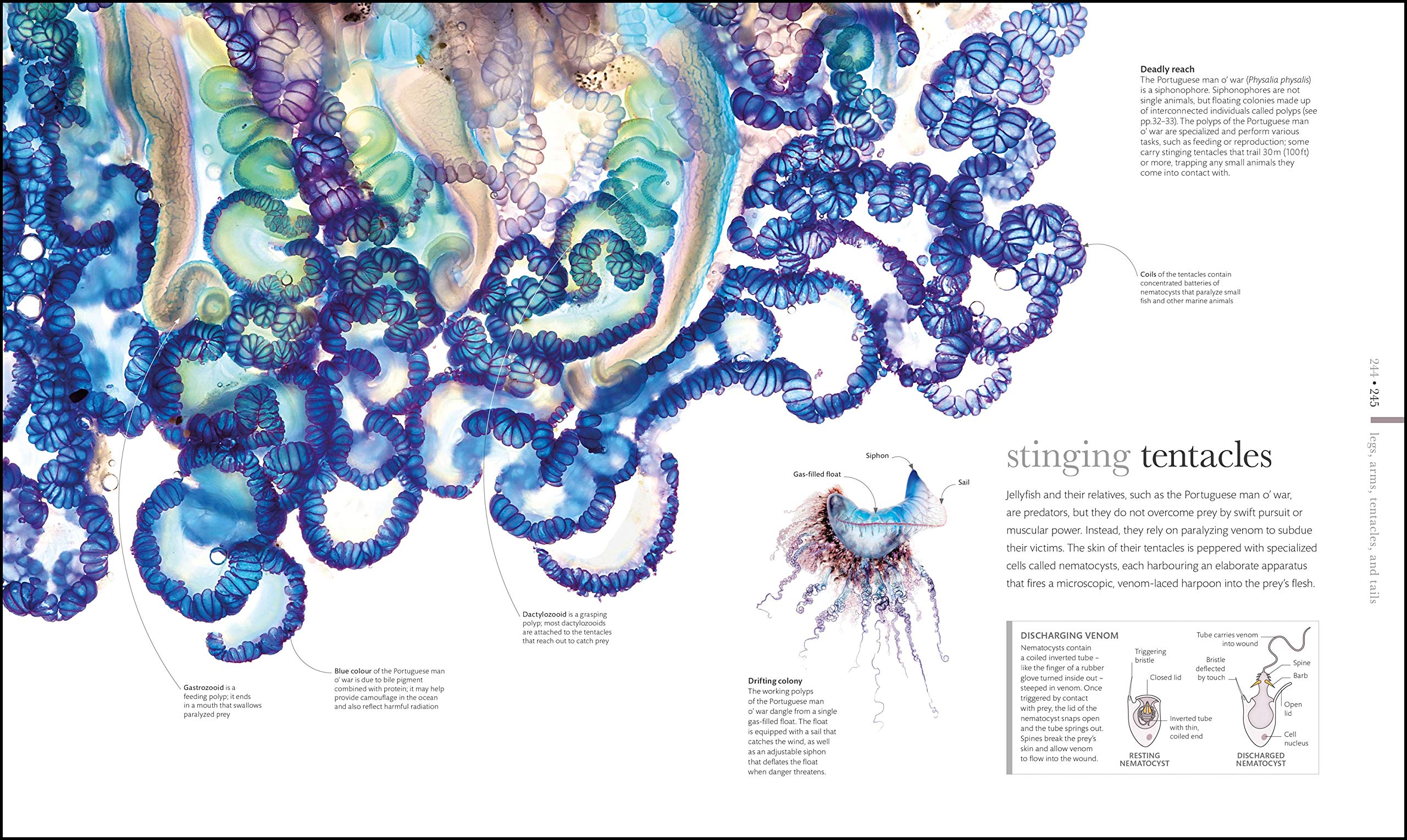 Inside their. The science of animals : inside their secret world. zoology of the world of withernauts. tentacles thrive. secret language of animals.