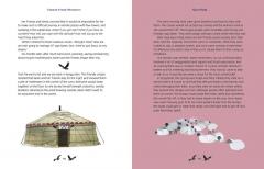 Fantastic Female Adventurers