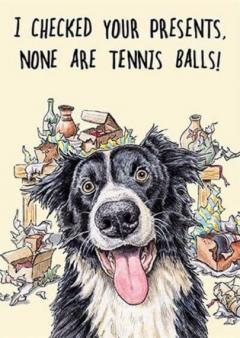 Felicitare - I Checked Your Present, None Are Tennis Balls