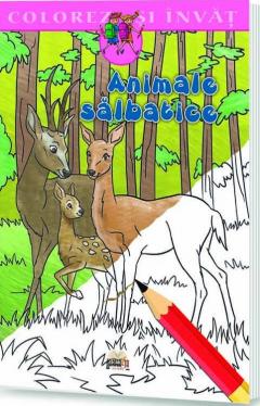 Animale salbatice