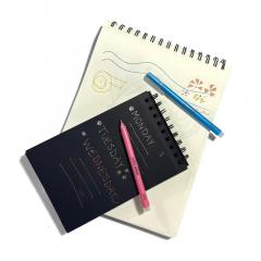 Set 12 pixuri cu gel colorate metalice - Color Sheen