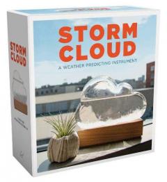 Instrument de prognoza a vremii - Storm Cloud