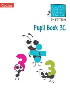 Coperta cărții Pupil Book 3C