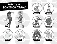 Pokemon : Ash the Champion