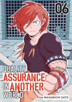 Quality Assurance in Another World - Volume 6