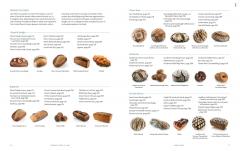 Modernist Bread at Home