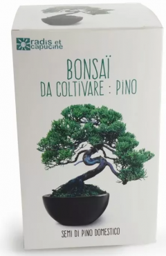 Kit de plantare cu Bonsai