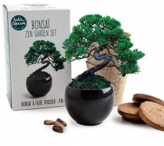 Kit de plantare cu Bonsai