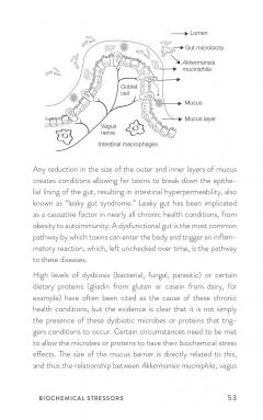 Upgrade Your Vagus Nerve