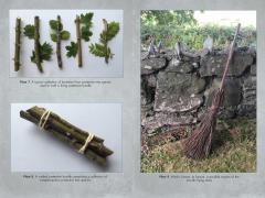 Coperta cărții Living Wands of the Druids