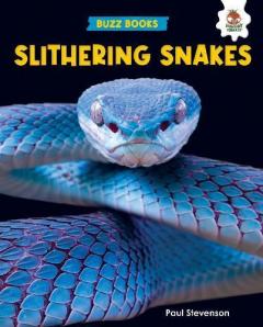 Coperta cărții Slithering Snakes
