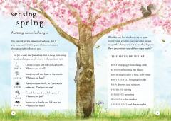 A Field Guide to Spring