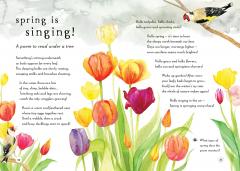 A Field Guide to Spring