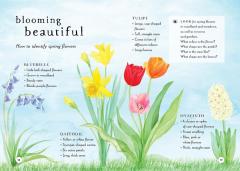 A Field Guide to Spring