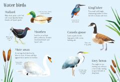 Nature Spotting Guide