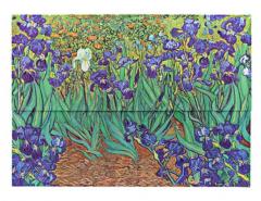 Mapa - Van Gogh’s Irises