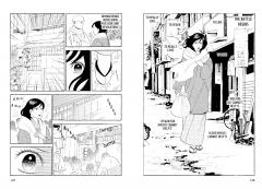 The Setting Sun: The Manga Edition