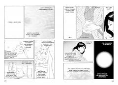 The Setting Sun: The Manga Edition