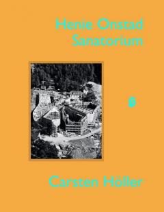 Coperta cărții Carsten Hoeller