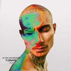 Je Vois Les Couleurs