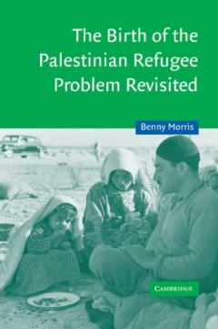 The Birth Of The Palestinian Refugee Problem Revisited