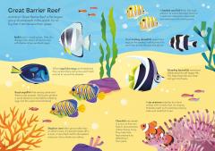 Usborne Book and Jigsaw - Coral Reef