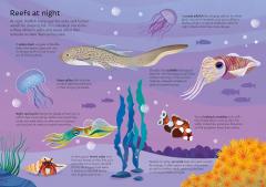 Usborne Book and Jigsaw - Coral Reef