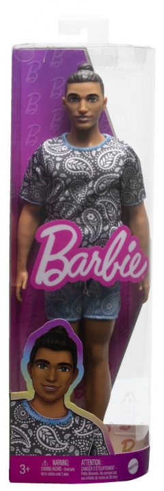 Papusa - Barbie Fashionistas - Baiat saten cu ticou
