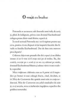 Palarie magica si prajituri cu albine