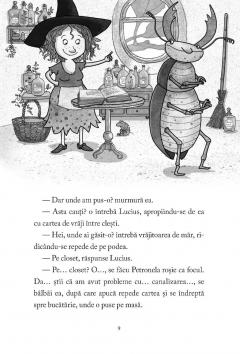 Palarie magica si prajituri cu albine