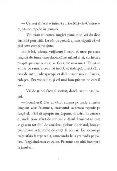 Palarie magica si prajituri cu albine