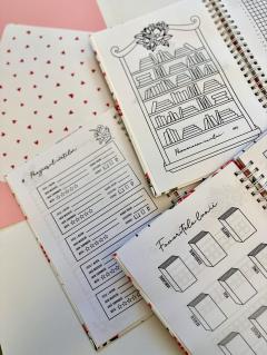 Jurnal - Jurnalul meu de cititor