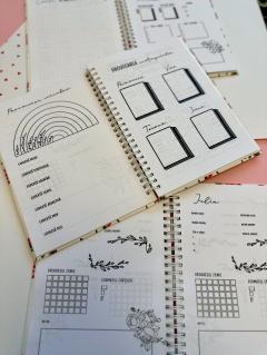 Jurnal - Jurnalul meu de cititor