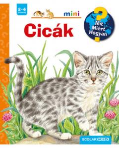 Cicak