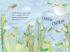 Little Snail's Book of Bugs