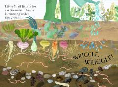 Little Snail's Book of Bugs