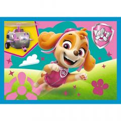 Puzzle 4 in 1 - Patrula catelusilor - Echipa