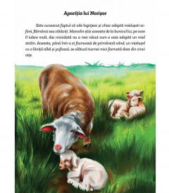 Aventurile lui Norisor