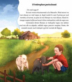 Aventurile lui Norisor