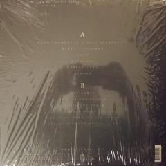 The Wild Swan - Vinyl