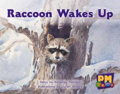 Coperta cărții Raccoon Wakes up