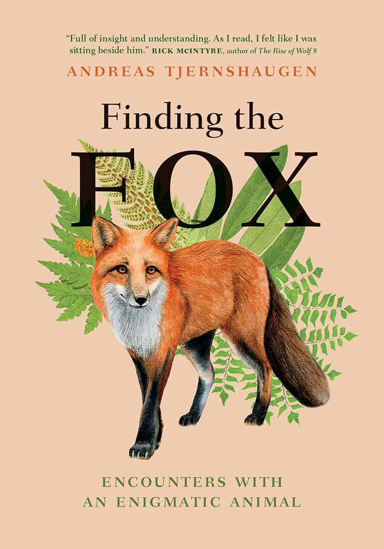 Finding the Fox - Andreas Tjernshaugen